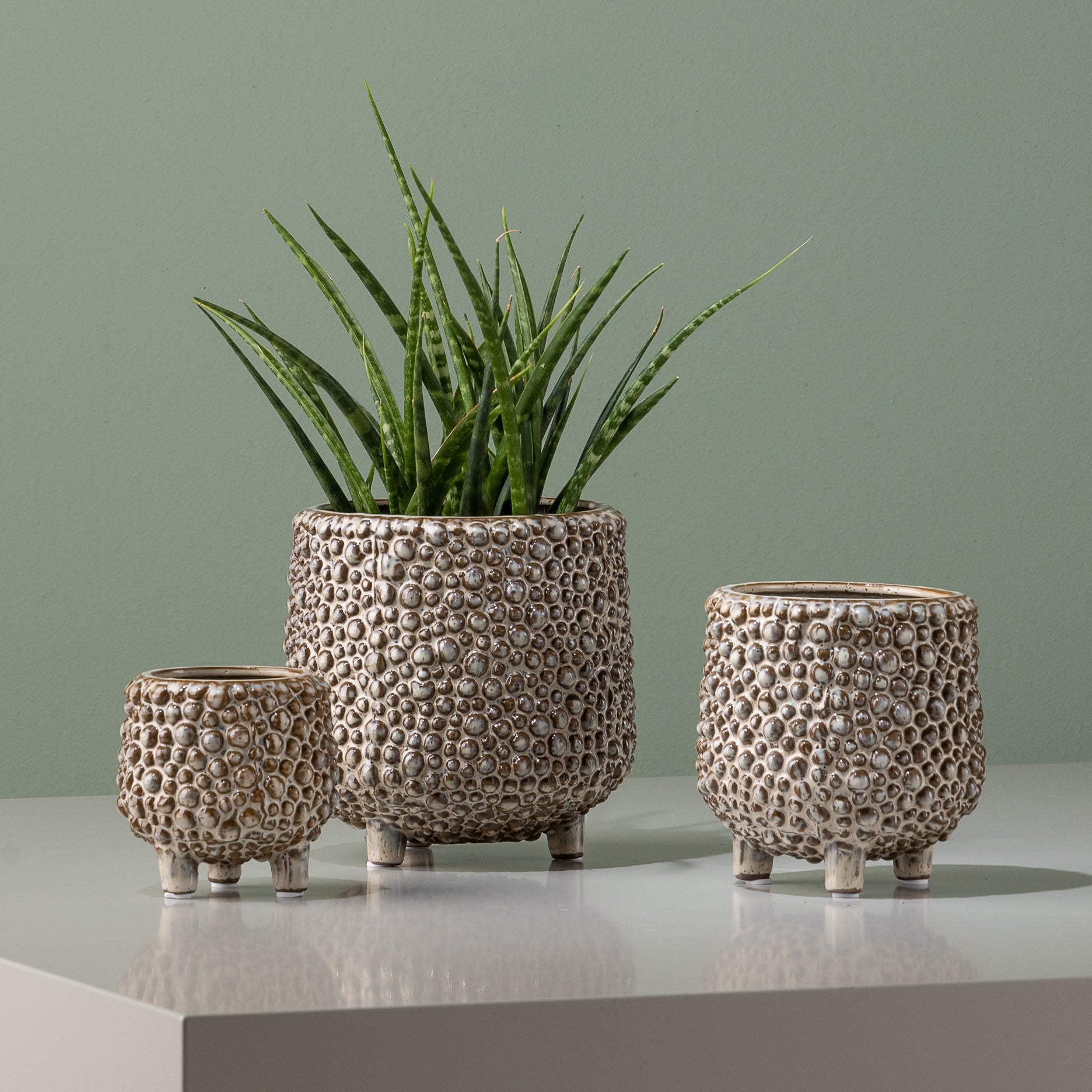 Dots Steingut-Blumentopf